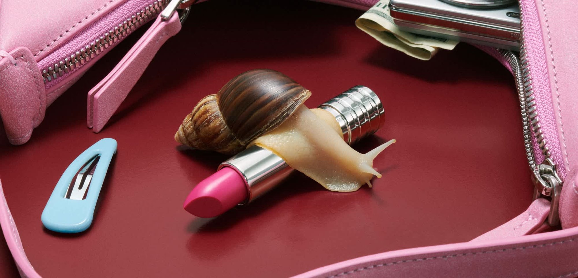 Rosa læbestift med en metallisk sølvbase, delvist dækket af et brunt spiral sneglehus, ligger på en rød overflade.