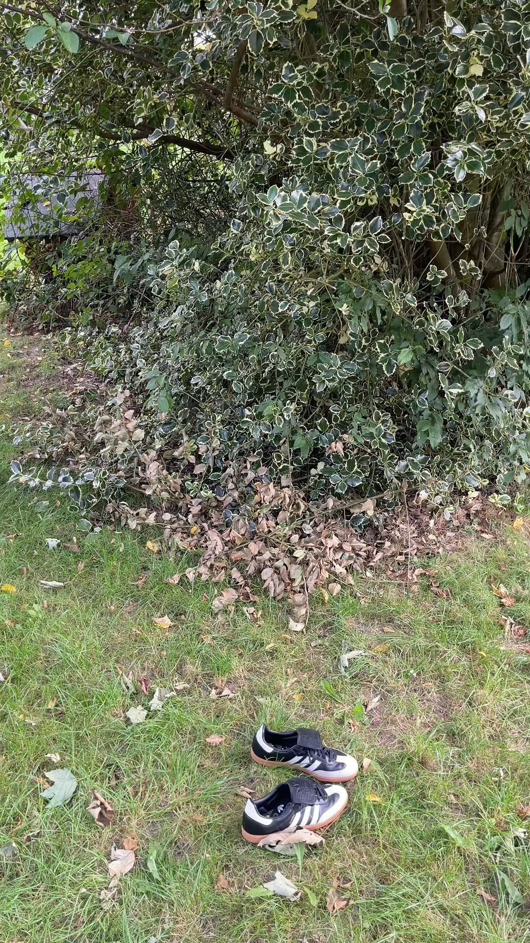 video overlay