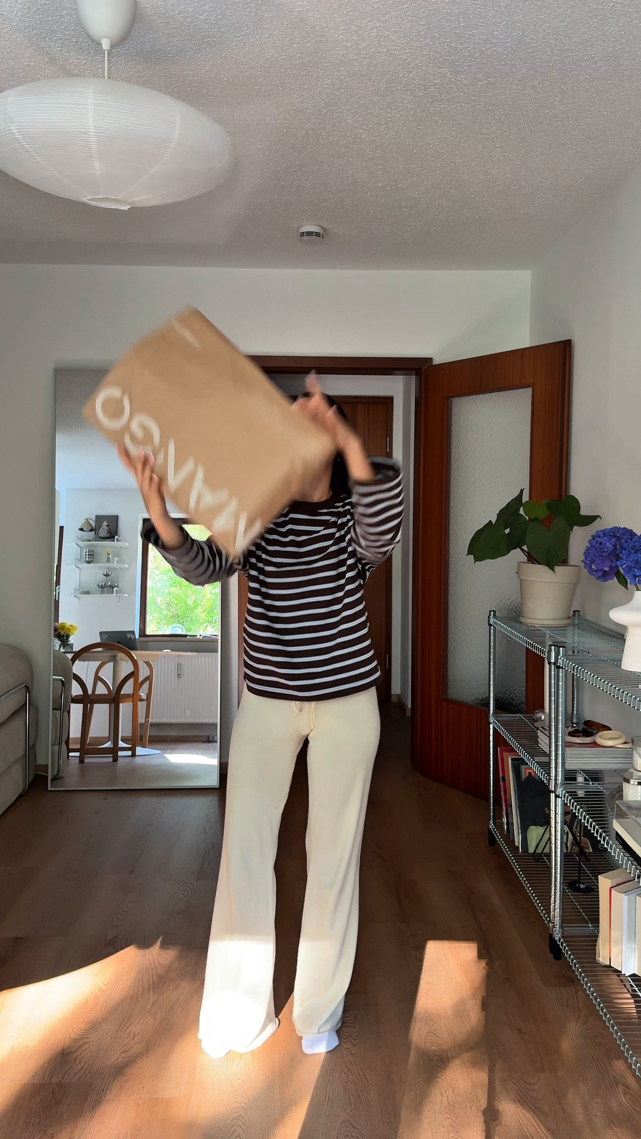 video overlay