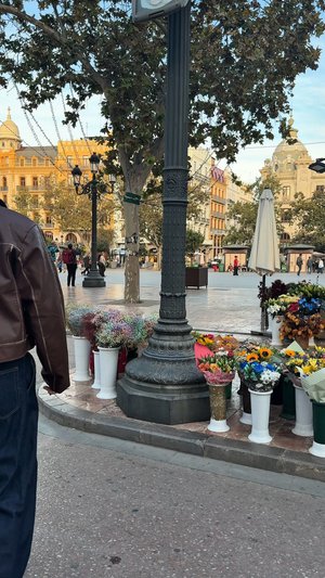 Flower stalls with colourful bouquets in white and green plastic pots, set against a city square backdrop with historic buildings and trees.