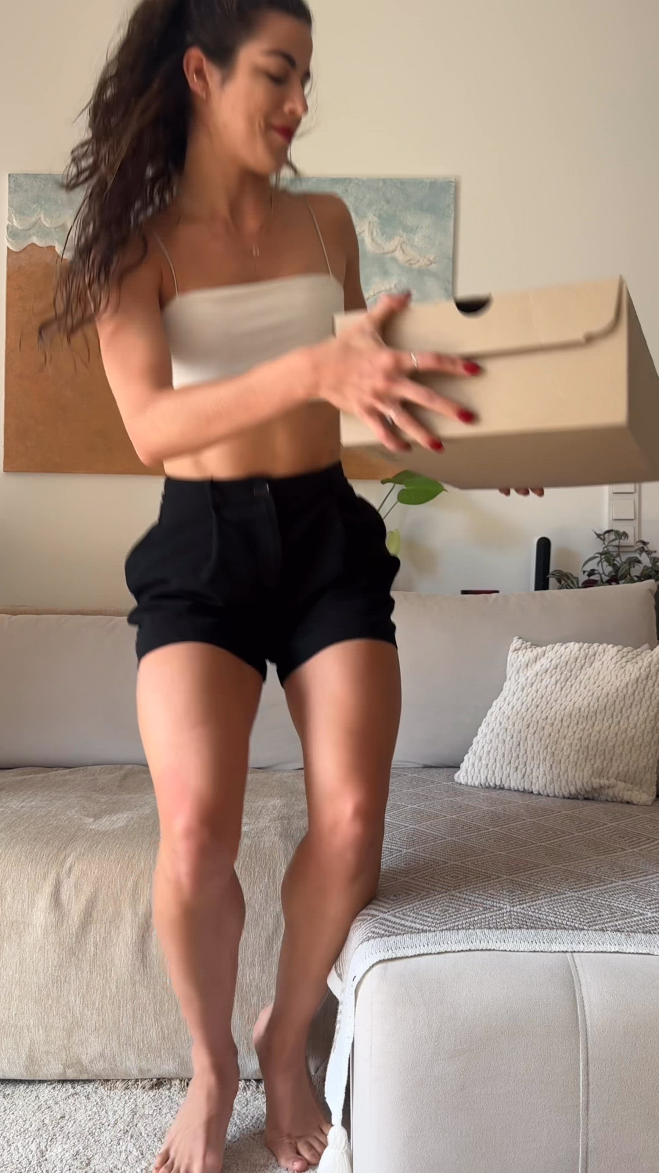 video overlay