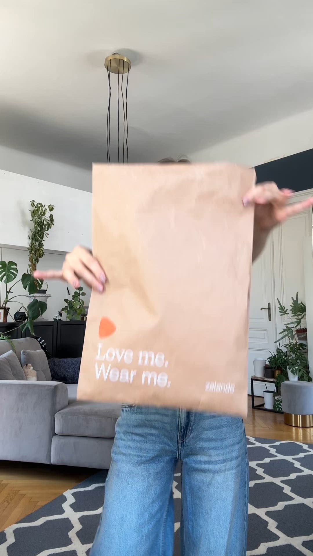 video overlay