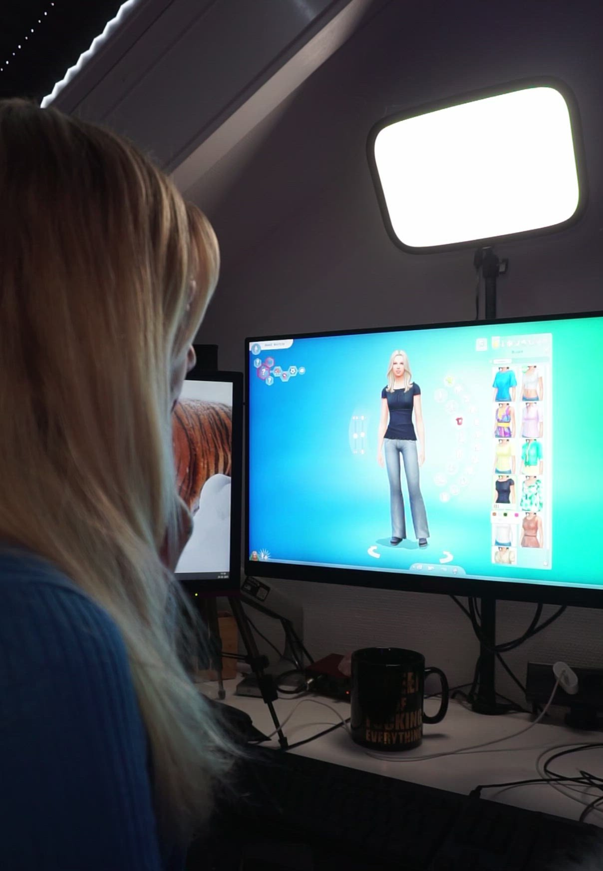 video overlay