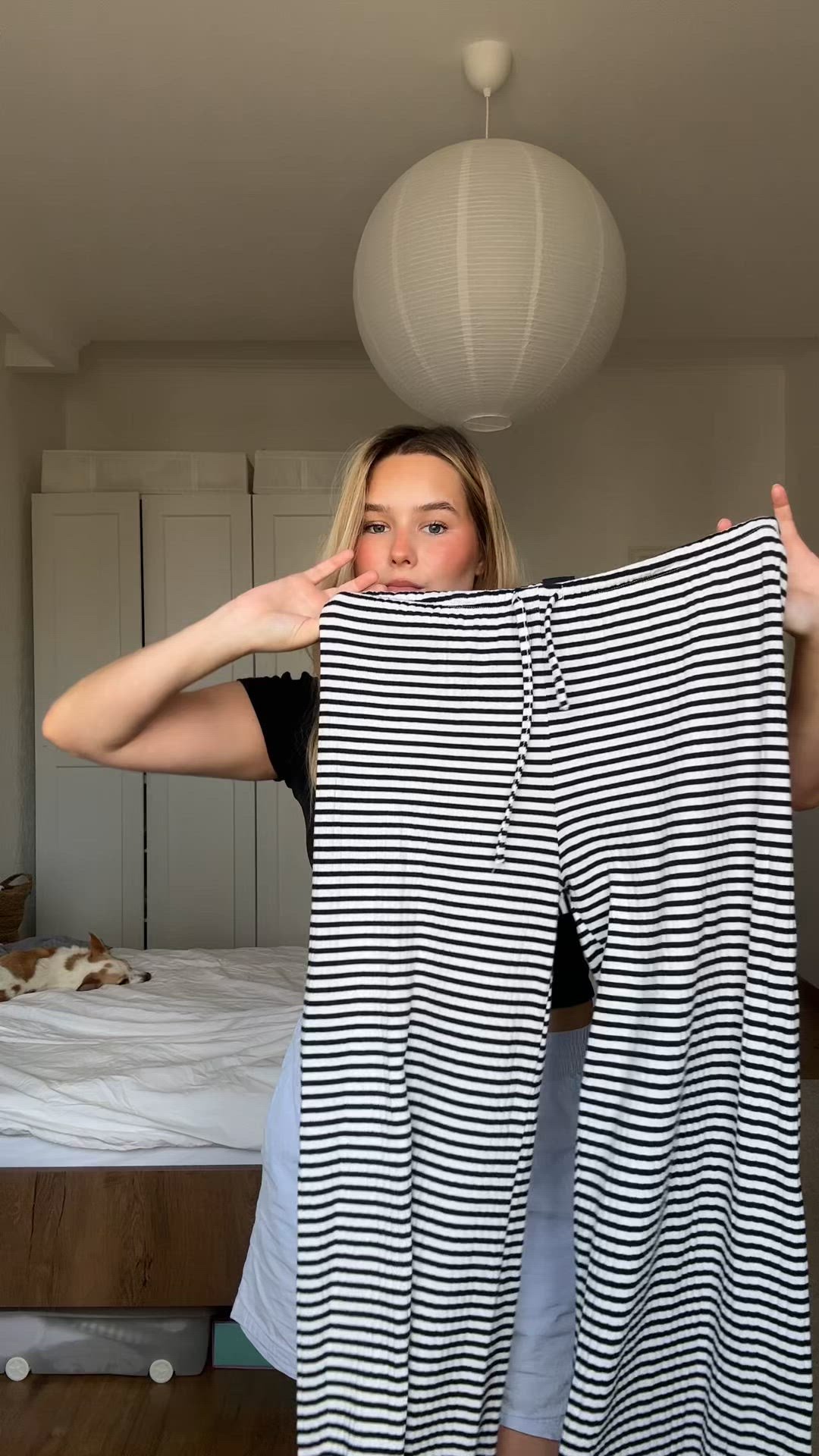 video overlay