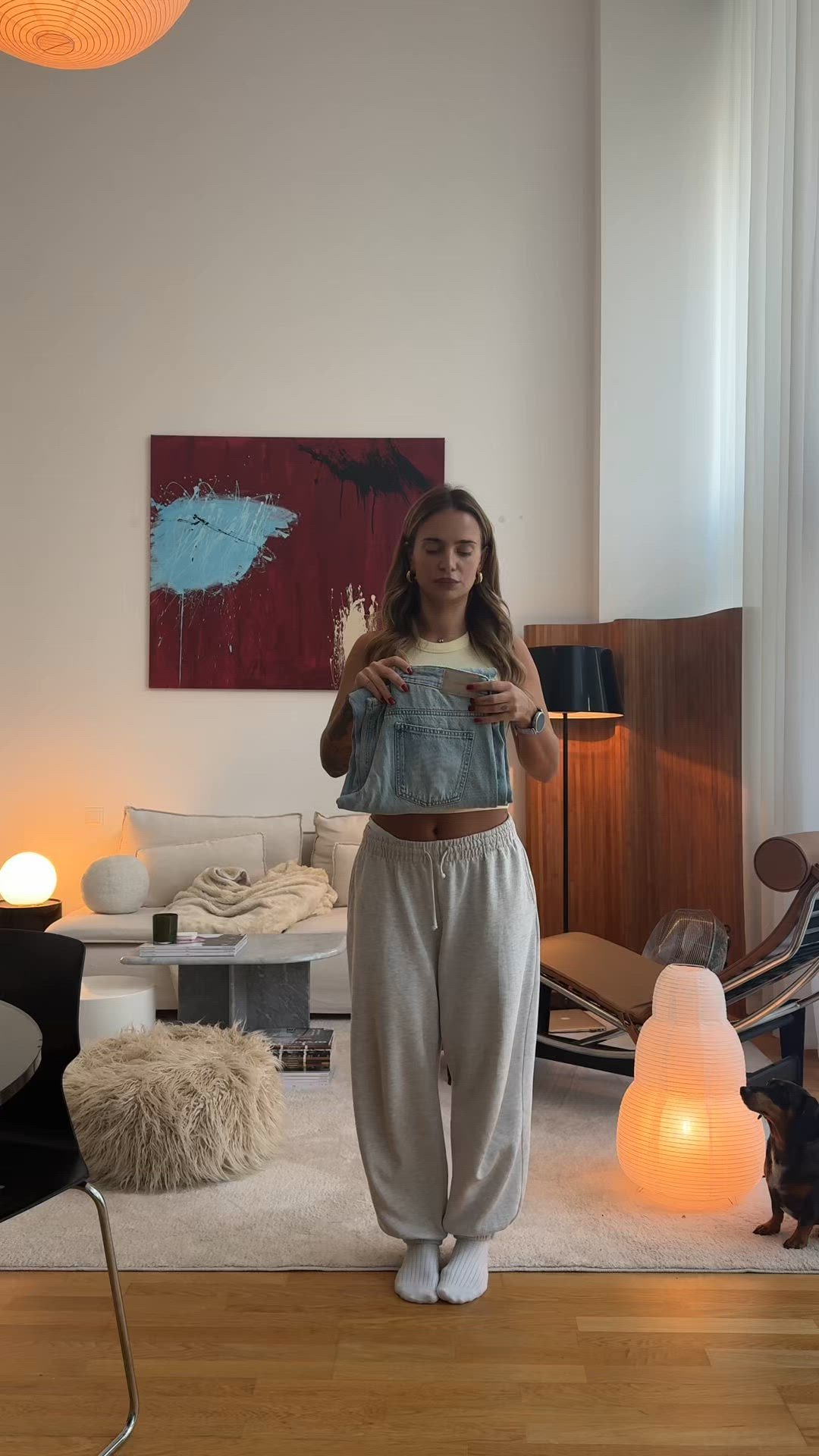 video overlay