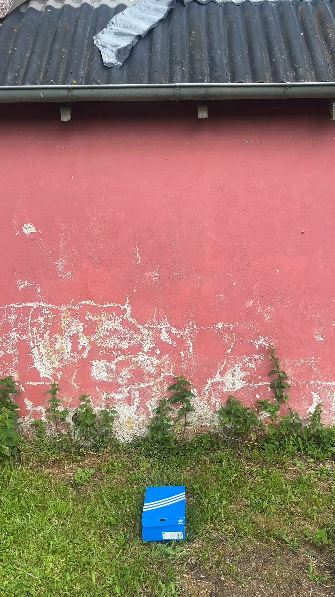 video overlay