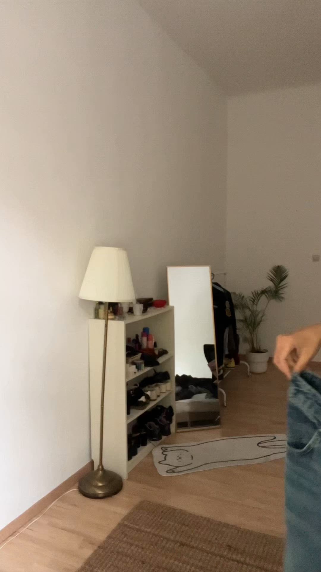 video overlay