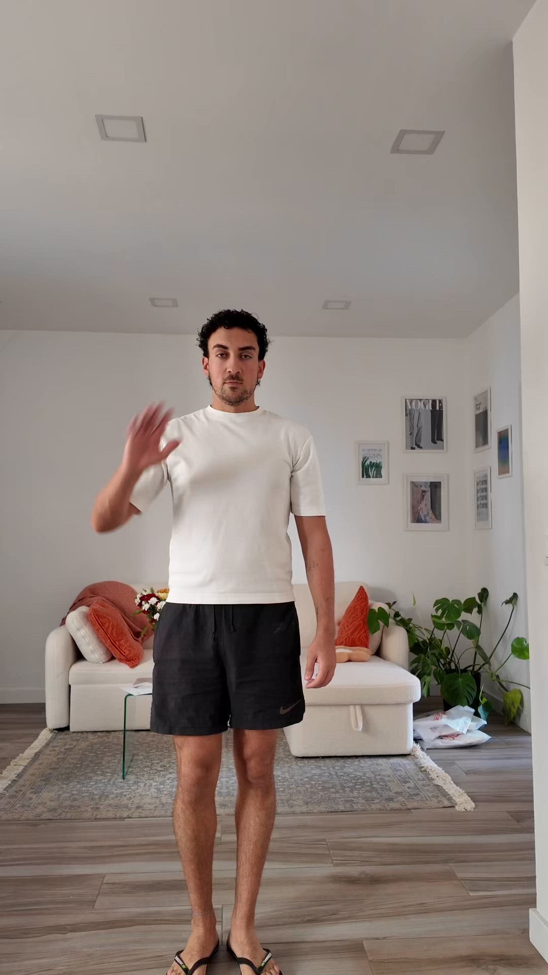 video overlay