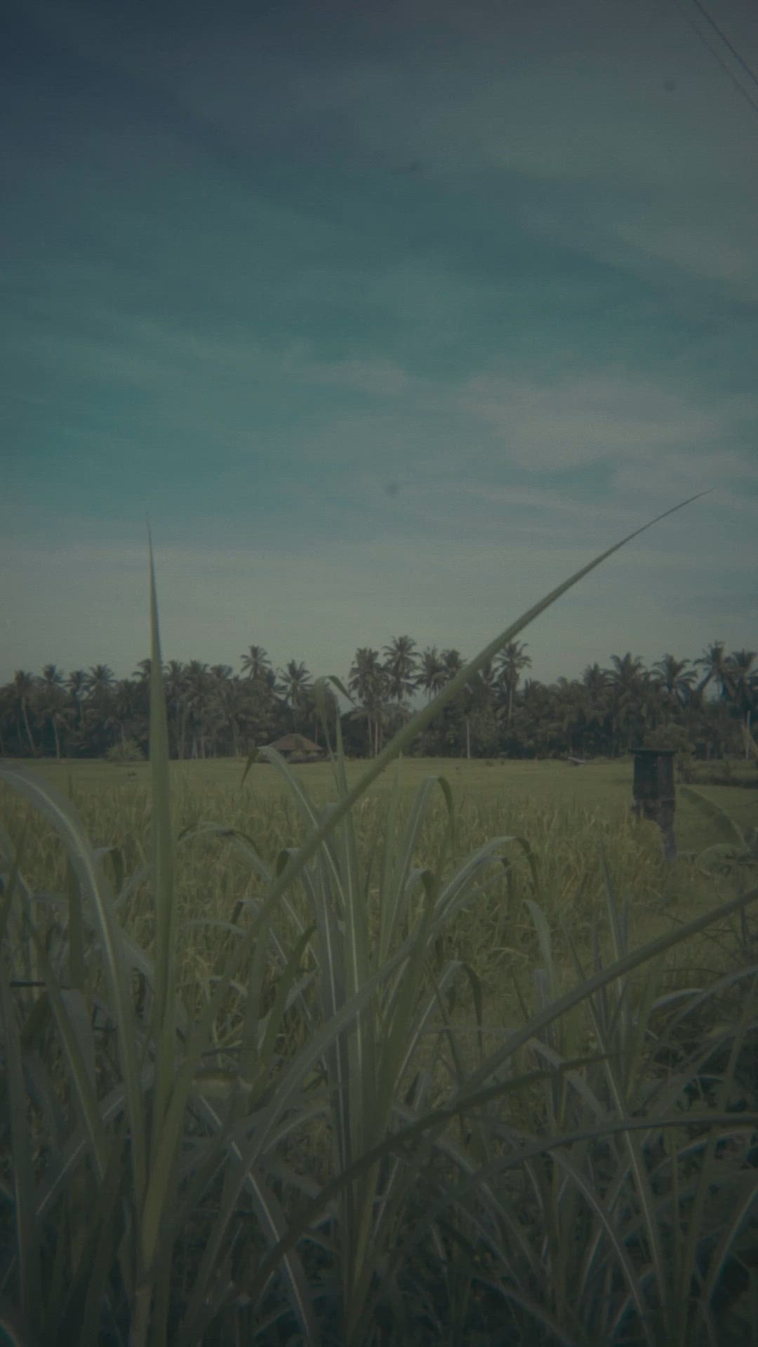video overlay