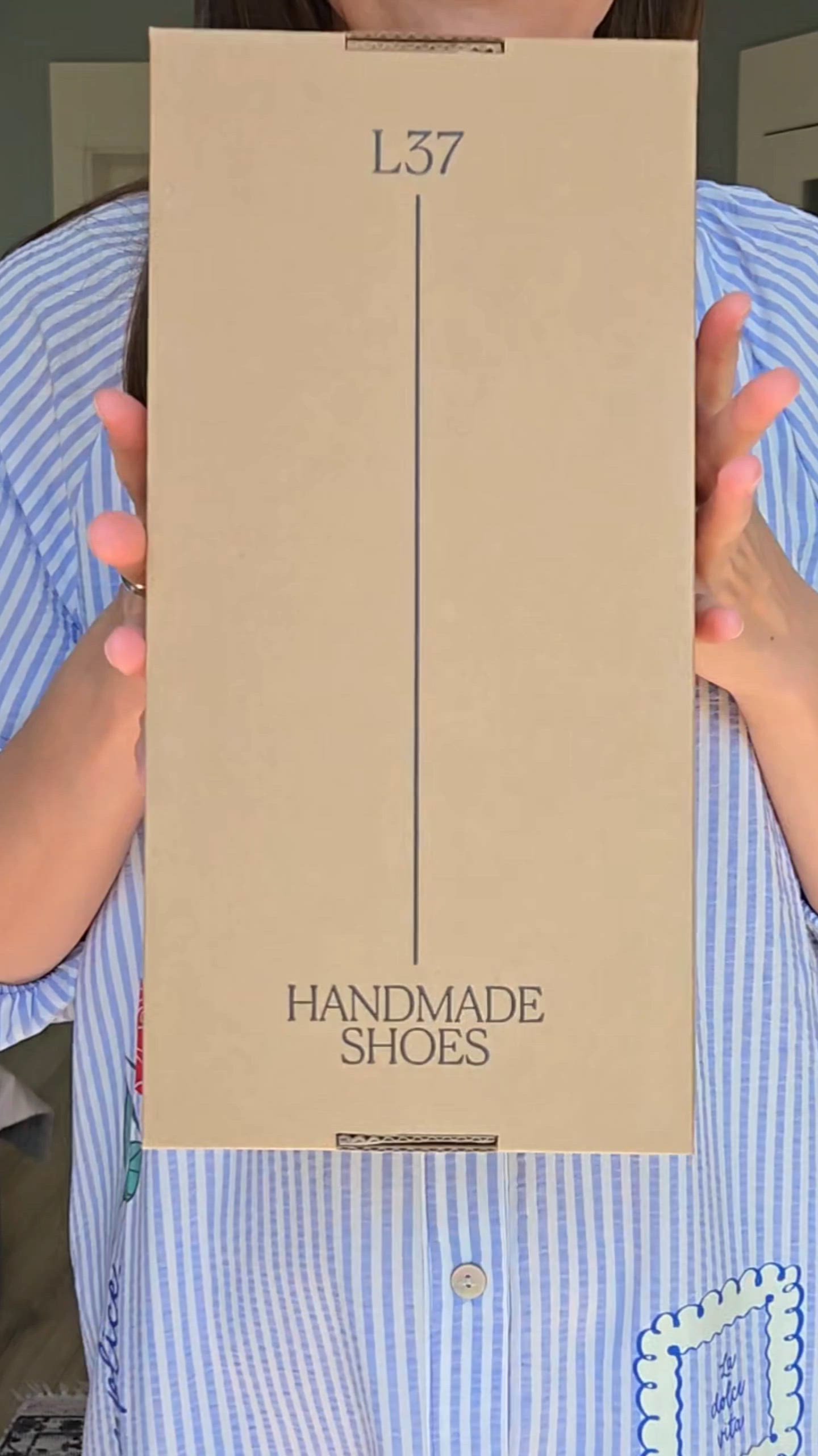 video overlay