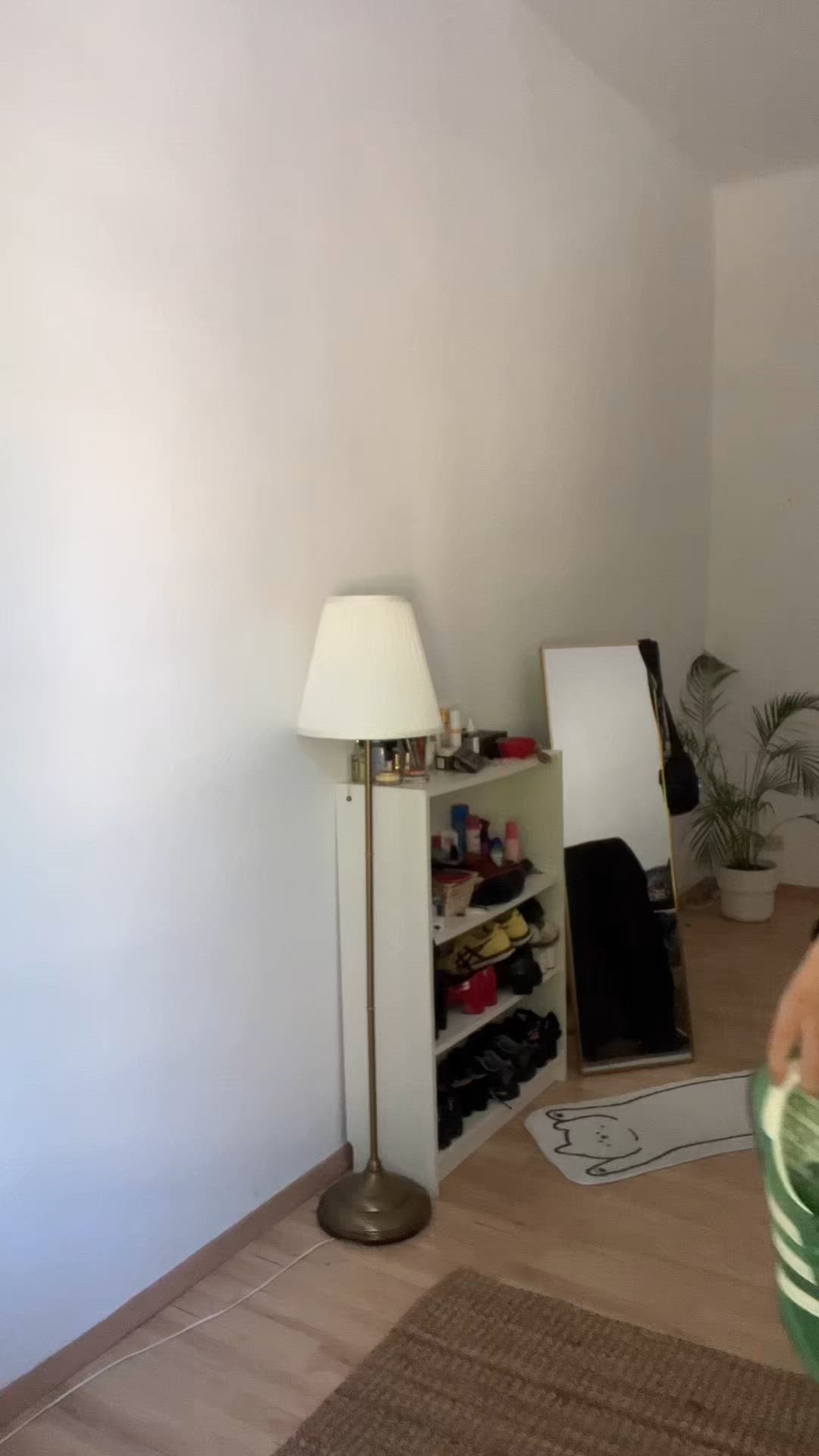 video overlay