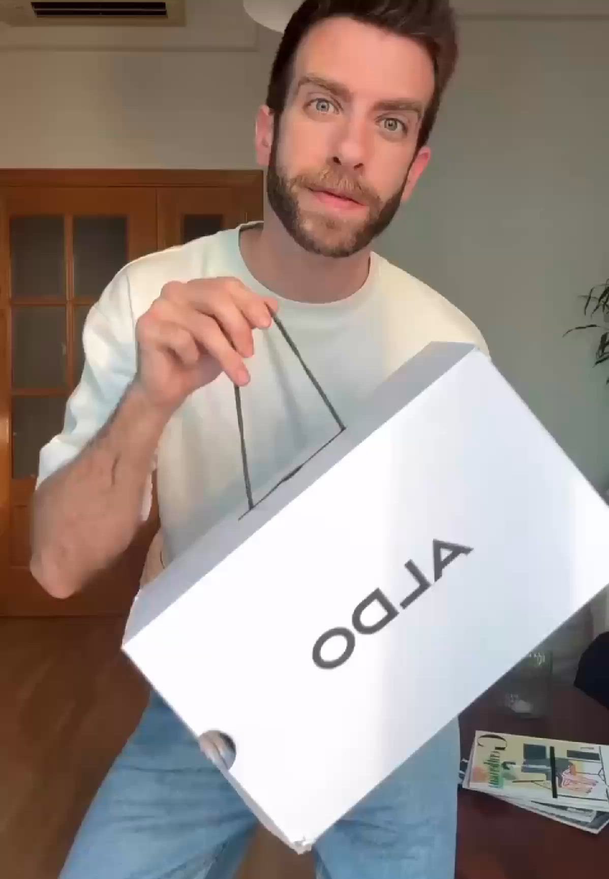 video overlay