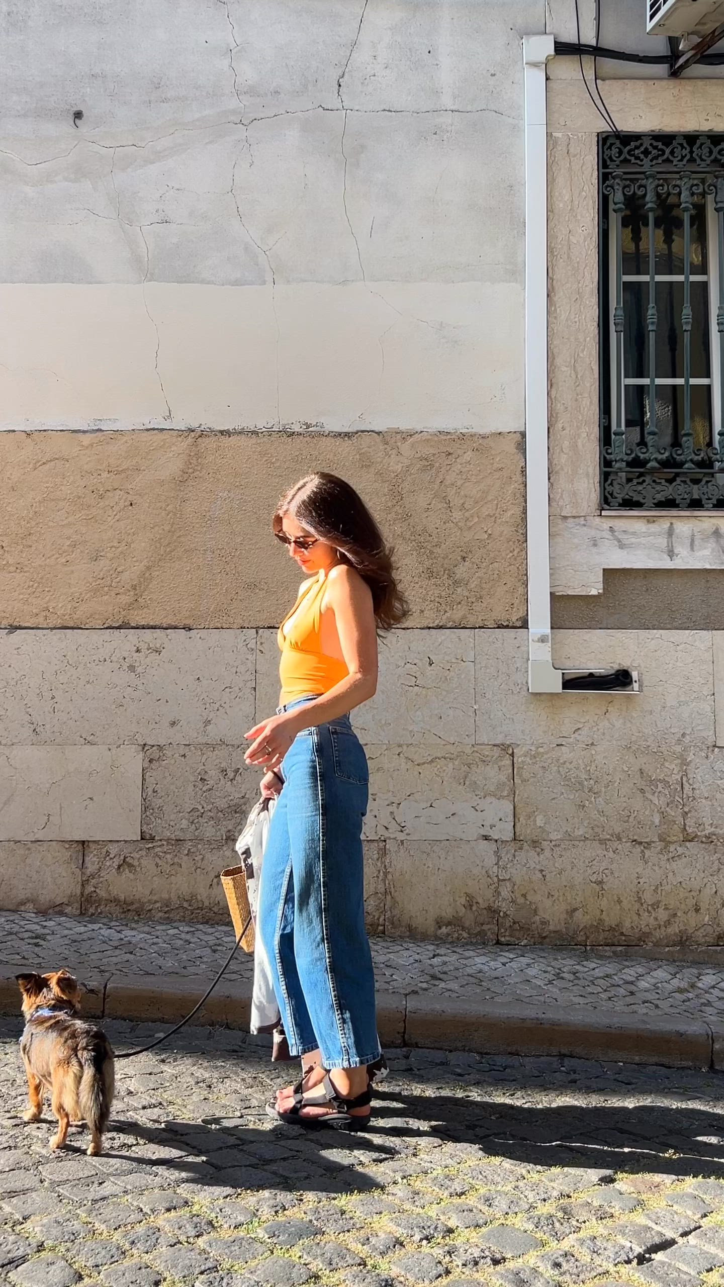video overlay