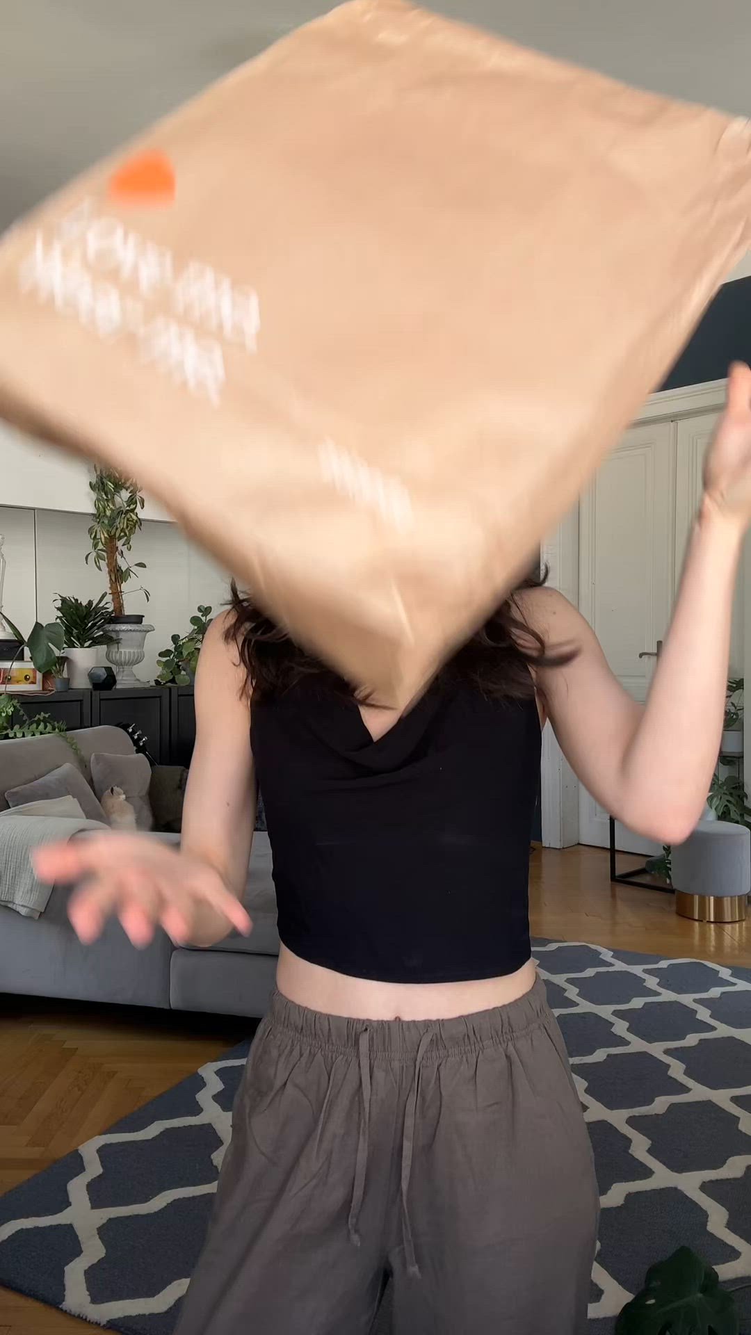 video overlay