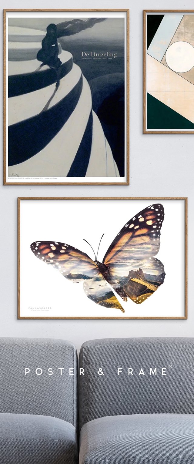 Dos pósters enmarcados en una pared clara: uno presenta un espiral y una figura abstractos en blanco y negro, el otro muestra una mariposa con colores paisajísticos.