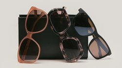 Drei Sonnenbrillenpaare mit unterschiedlichen Fassungsstilen, die an einem schwarzen rechteckigen Etui auf einer schlichten Oberfläche lehnen.