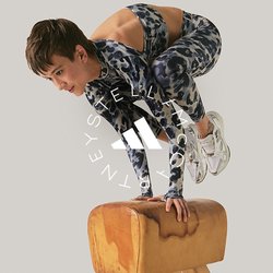 Osoba v sportovním oblečení balancuje na rukou na gymnastickém koňském kladině na jednobarevném pozadí.