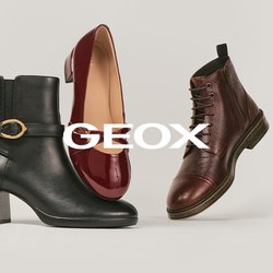 Tři dámské boty: černé kotníkové boty na podpatku s přezkou, lesklé tmavě červené baleríny Mary Jane a hnědé kožené boty na šněrování.