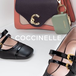 Coccinelle