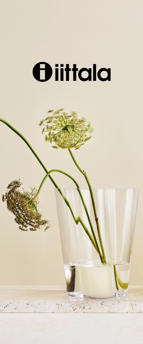 Jarrón de cristal transparente con forma cónica, que presenta dos tallos verdes con delicadas flores blancas sumergidas en agua. Diseño minimalista, estética moderna.