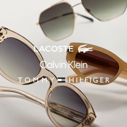 Calvin Klein + Tommy Hilfiger + Lacoste - Sluneční brýle