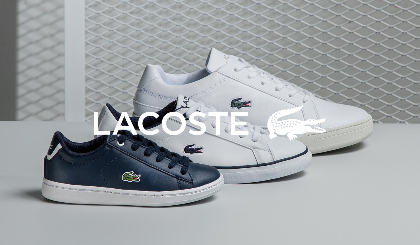 nouveau pull lacoste